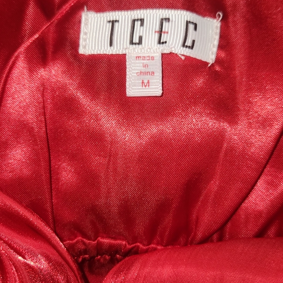 The‎ Impeccable Pig Vibrant Red Dress - Picture 4 of 5